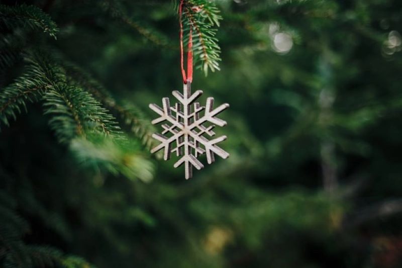 Budget-friendly options for purchasing pre-decorated holiday trees