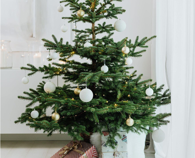 A Pet-Friendly Guide to Choosing the Perfect Tree Skirt for Your 9 ft Flocked Christmas Tree